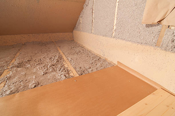 Best Eco-Friendly Insulation in Lindsay, TX